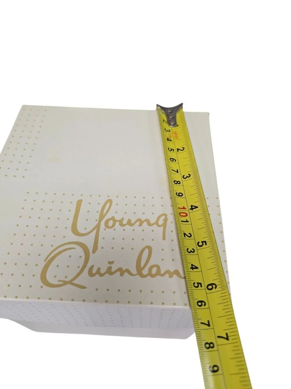 Vintage Young & Quinlan Dept Store Box Minneapolis Advertising 6.25